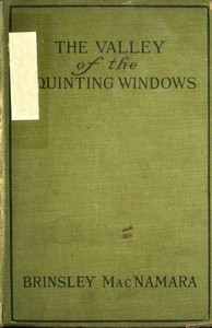 The Valley of Squinting Windows by Brinsley MacNamara