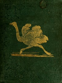 Tales About Birds, Illustrative of Their Nature, Habits, and Instincts by Thomas Bingley