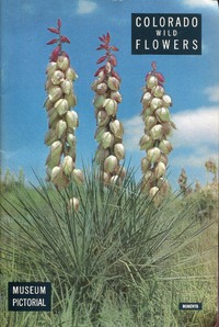 Colorado Wild Flowers by Harold DeWitt Roberts