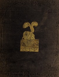 Peter Parley's Wonders of the Earth, Sea, and Sky by Samuel G. (Samuel Griswold) Goodrich