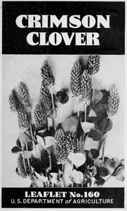 Crimson Clover [1947] by E. A. (Eugene Amos) Hollowell
