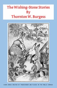 The Wishing-Stone Stories by Thornton W. (Thornton Waldo) Burgess