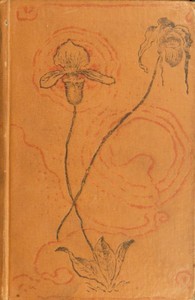 On Board the "Rocket" by Robert C. (Robert Chamblet) Adams