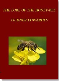 The Lore of the Honey-Bee by Tickner Edwardes