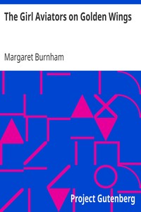 The Girl Aviators on Golden Wings by Margaret Burnham