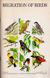 Migration of Birds (1979) by Frederick Charles Lincoln