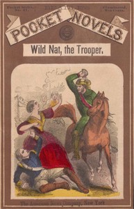 Wild Nat, the Trooper; or, The Cedar Swamp Brigade by William R. (William Reynolds) Eyster