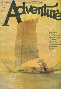 Flames of the Storm by W. C. (Wilbur C.) Tuttle