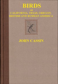 Illustrations of the Birds of California, Texas, Oregon, British and Russian America by John Cassin