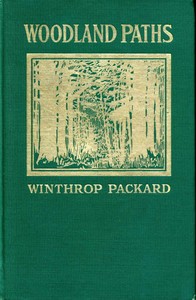 Woodland Paths by Winthrop Packard