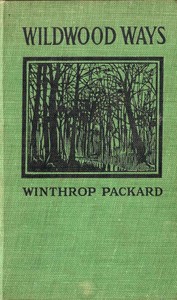Wildwood Ways by Winthrop Packard