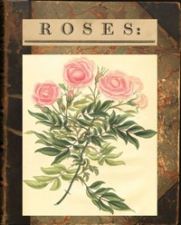 Roses: or, a Monograph of the Genus Rosa by Henry Cranke Andrews