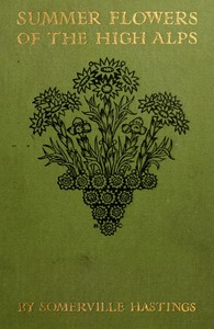 Summer Flowers of the High Alps by Somerville Hastings