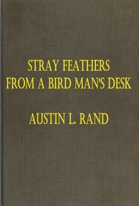 Stray Feathers From a Bird Man's Desk by Austin Loomer Rand