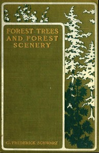 Forest Trees and Forest Scenery by G. Frederick (George Frederick) Schwarz