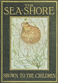 The Sea-Shore, Shown to the Children by Theodore Wood