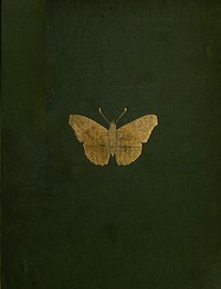 The Butterflies and Moths of Teneriffe by A. E. Holt White