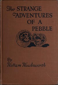 The Strange Adventures of a Pebble by Hallam Hawksworth