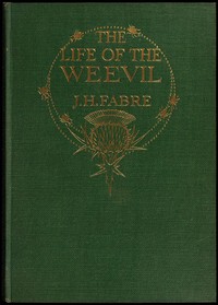 The Life of the Weevil by Jean-Henri Fabre