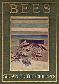 Bees, Shown to the Children by Ellison Hawks