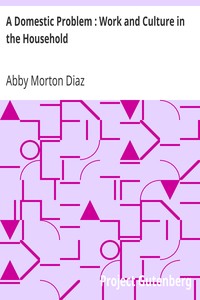 A Domestic Problem : Work and Culture in the Household by Abby Morton Diaz