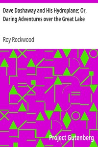 Dave Dashaway and His Hydroplane; Or, Daring Adventures over the Great Lake by Roy Rockwood