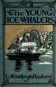 The Young Ice Whalers by Winthrop Packard