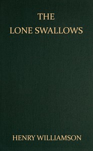 The Lone Swallows by Henry Williamson