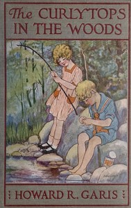 The Curlytops in the Woods; Or, Fun at the Lumber Camp by Howard Roger Garis