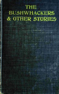 The bushwhackers & other stories by Charles Egbert Craddock