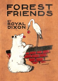 Forest Friends by Royal Dixon