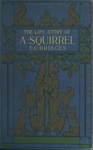 The life story of a squirrel by T. C. (Thomas Charles) Bridges
