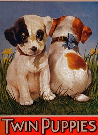 My twin puppies by Edna Groff Deihl