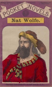 Nat Wolfe; or, The gold hunters: A romance of Pike's Peak and New York by Metta Victoria Fuller Victor