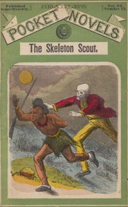 The skeleton scout; or, The border block by Albert W. Aiken