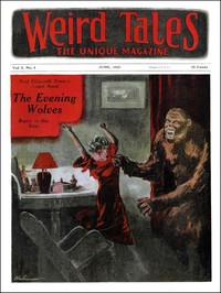 The voice in the fog by Henry Leverage