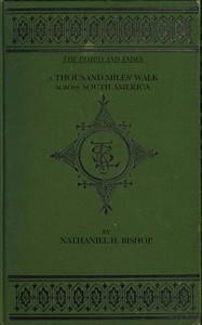 The Pampas and Andes: A Thousand Miles' Walk Across South America by Nathaniel H. (Nathaniel Holmes) Bishop