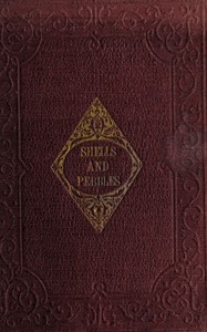 Shells and pebbles: A story for children by Anonymous