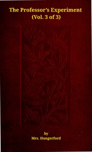 The professor's experiment: A novel, Vol. 3 (of 3) by Duchess