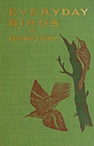 Everyday birds: Elementary studies by Bradford Torrey