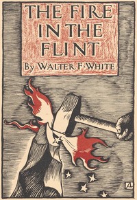 The fire in the flint by Walter White