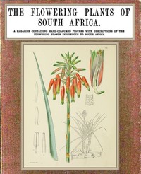 The flowering plants of South Africa; vol. 4 by I. B. (Illtyd Buller) Pole Evans