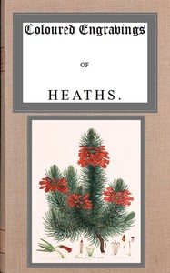 Coloured engravings of heaths; vol. 2 by Henry Cranke Andrews