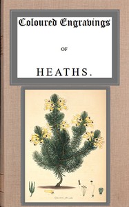 Coloured engravings of heaths; vol. 3 by Henry Cranke Andrews