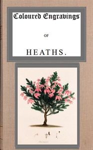 Coloured engravings of heaths; vol. 4 by Henry Cranke Andrews