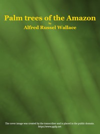 Palm trees of the Amazon and their uses by Alfred Russel Wallace