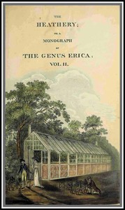 The heathery; or, A monograph of the genus Erica. vol. 2 by Henry Cranke Andrews