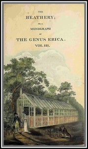 The heathery; or, A monograph of the genus Erica. vol. 3 by Henry Cranke Andrews