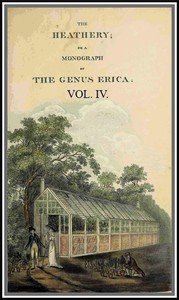 The heathery; or, A monograph of the genus Erica. vol. 4 by Henry Cranke Andrews