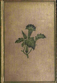 Torwood's trust : $b A novel (Vol. 3 of 3) by Evelyn Everett-Green